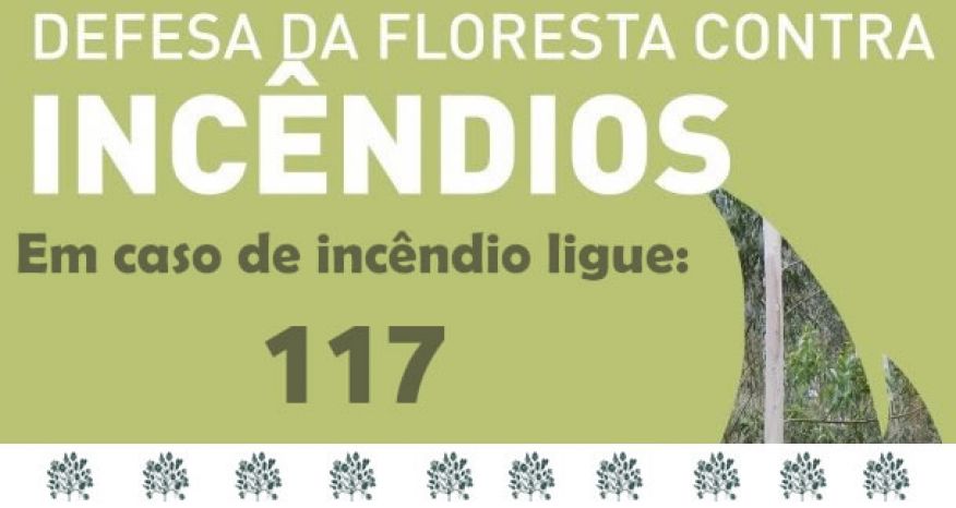 FLORESTA CONTRA INC&Ecirc;NDIOS - PORTARIA N.&ordm; 202/2013 DE 14 DE JUNHO