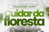 Voluntariado Jovem - Cuidar da Floresta