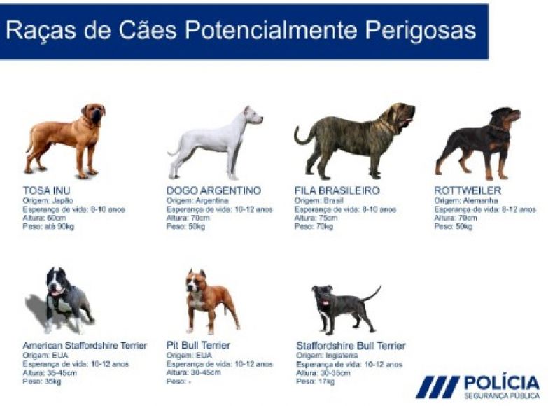 FORMA&Ccedil;&Atilde;O OBRIGAT&Oacute;RIA &ndash; DETENTORES DE C&Atilde;O PERIGOSO OU POTENCIALMENTE PERIGOSO.